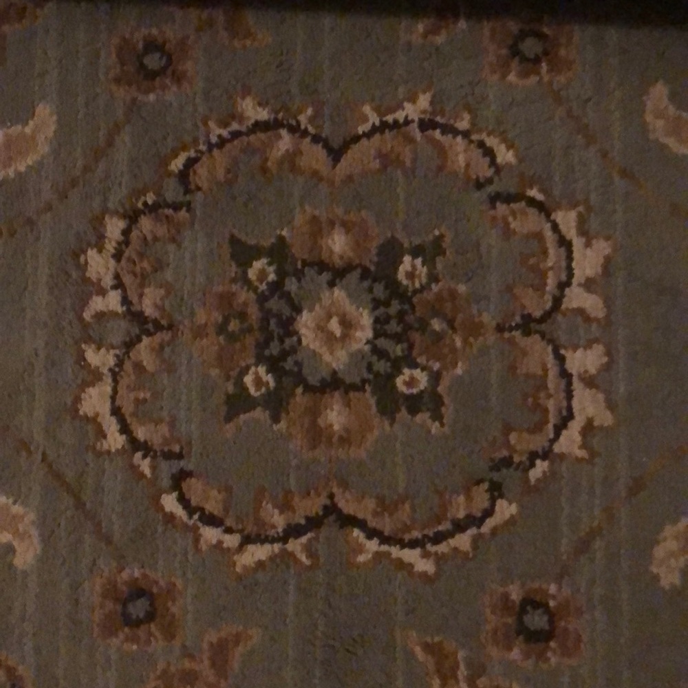 Meet your Posher, Kyra